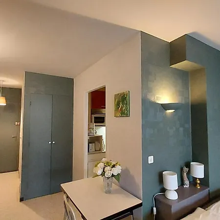 Balcon Sous Le Canigou T1 40m2 Cuisine Separee Apartment